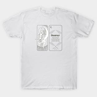 Meteorite Collector "Observed Fall: Denver "Hammer Stone" Meteorite T-Shirt